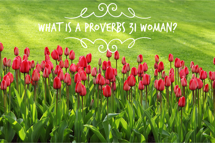 What is a Proverbs 31 Woman? (Part 1 of 2)