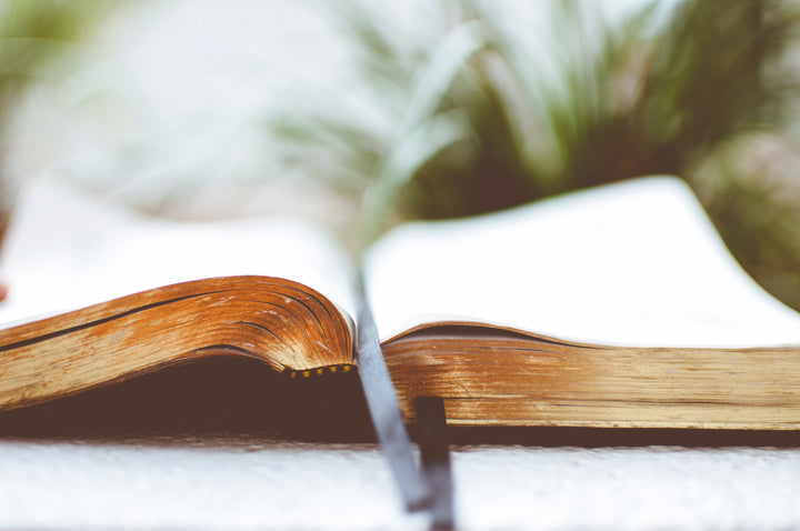 12 Online Bible Studies for Women